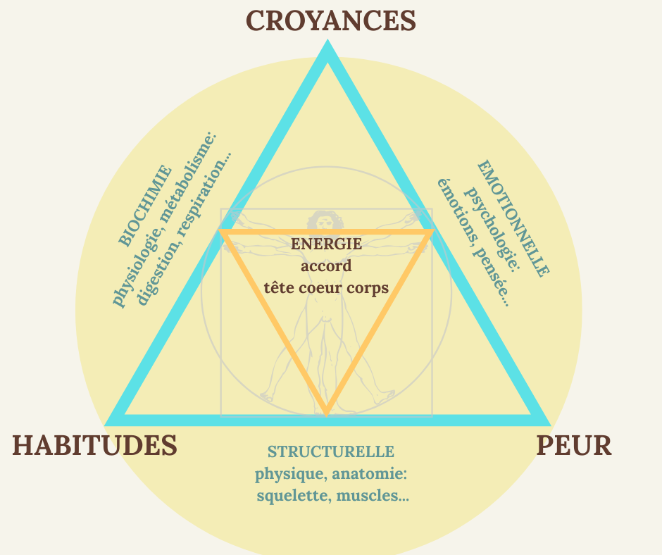 triade de la santé